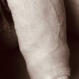 Avatar of user named "intimatebull"