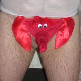 Avatar of user named "Seebaer71"