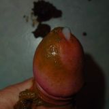 Avatar of user named "Kinkymike99"