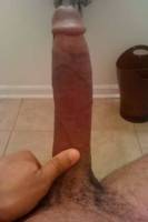 Avatar of user named "novulgur"