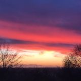 Avatar of user named "mech21900"