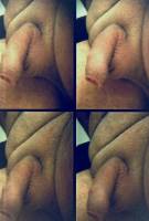 Avatar of user named "Pimmelhuber"