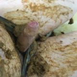 Avatar of user named "pissleg2069"