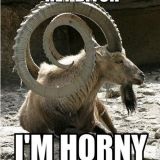 Avatar of user named "butuli"