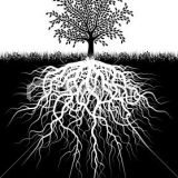 Avatar of user named "root"