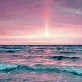 Avatar of user named "Herby"