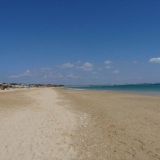 Avatar of user named "bloumingdale"