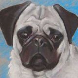 Avatar of user named "combinaties"