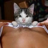 Avatar of user named "Hotchillipepper"