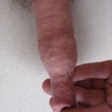 Avatar of user named "skndiver1958"