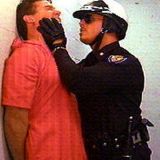 Avatar of user named "Cheesehungry"