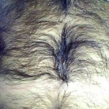 Avatar of user named "DESERTO50"