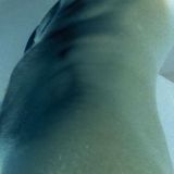 Avatar of user named "Wilderbw81"