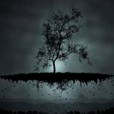 Avatar of user named "ericb36"