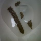 Avatar of user named "boxerguy34"