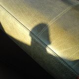 Avatar of user named "Gulzig"