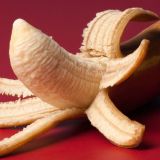 Avatar of user named "explorerguy"