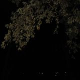 Avatar of user named "wifelovernj"