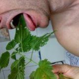 Avatar of user named "openminded"