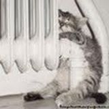 Avatar of user named "biffen_1"