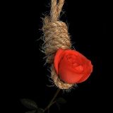 Avatar of user named "vibouc"