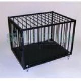 Avatar of user named "sonja_dieters"