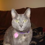 Avatar of user named "rick123"