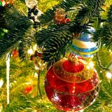 Avatar of user named "geo694"