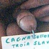 Avatar of user named "cagna_sottomessa"