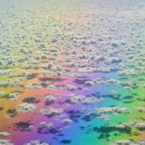 Avatar of user named "mrdan"