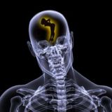 Avatar of user named "OldFart55"