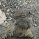 Avatar of user named "SweetButterflay94"