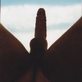 Avatar of user named "pigmalion16"