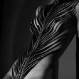 Avatar of user named "eselbman"