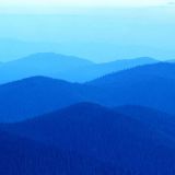 Avatar of user named "bistute71"