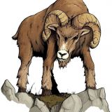 Avatar of user named "akalaze"