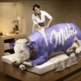 Avatar of user named "AGREBU"