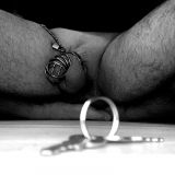 Avatar of user named "ptp1"