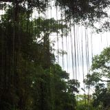 Avatar of user named "Sjakie3003"