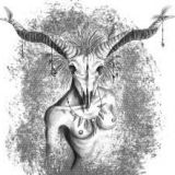 Avatar of user named "Foxeylady"