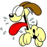 Avatar of user named "outdoor1"