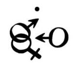 Avatar of user named "grenouille1963"