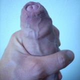 Avatar of user named "ticklemyhole"