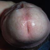 Avatar of user named "Tapsylein"