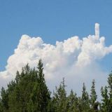 Avatar of user named "bob4"