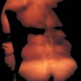 Avatar of user named "Gian-Carlo"