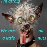 Avatar of user named "leeray"