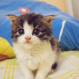 Avatar of user named "yahoo100"