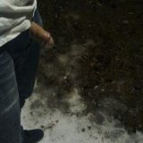 Avatar of user named "pervo026"