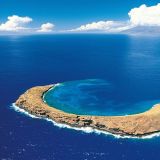 Avatar of user named "towatch"